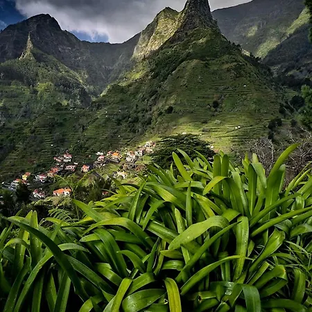 The Artist House Guest house Arco da Calheta (Madeira)